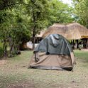 ZMB EAS SouthLuangwa 2016DEC10 WildlifeCamp 007 : 2016, 2016 - African Adventures, Africa, Date, December, Eastern, Mfuwe, Month, Places, South Luangwa, Trips, Wildlife Camp, Year, Zambia